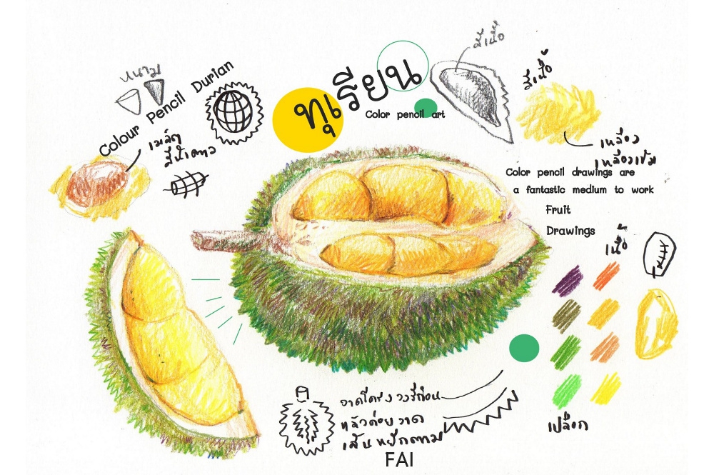 เทคนิคสีไม้กับการวาดภาพชุดผลไม้