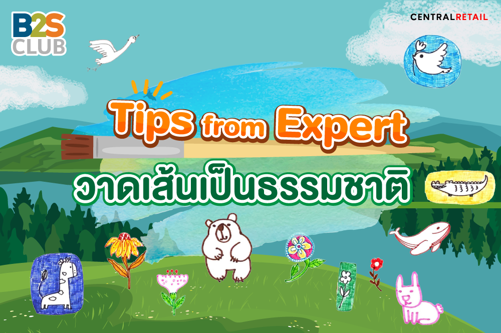Tips from Expert วาดเส้นเป็นธรรมชาติ