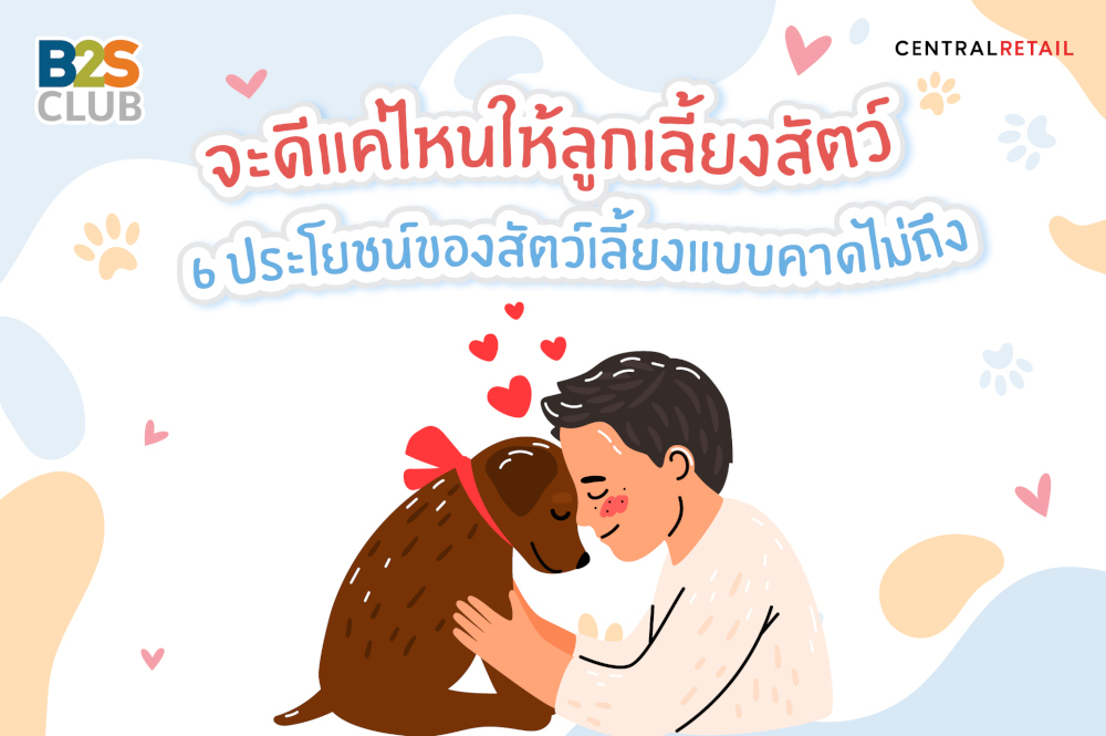 จะดีแค่ไหนให้ลูกเลี้ยงสัตว์    6 ประโยชน์ของสัตว์เลี้ยงแบบคาดไม่ถึง