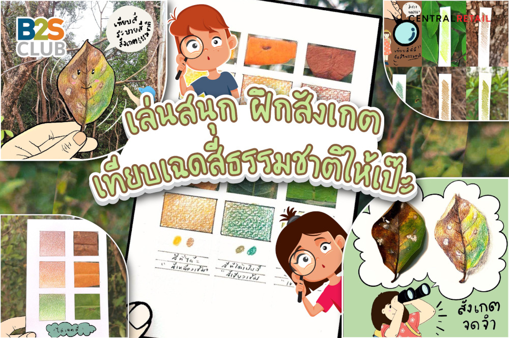 เล่นสนุก ฝึกสังเกต เทียบเฉดสีธรรมชาติให้เป๊ะ