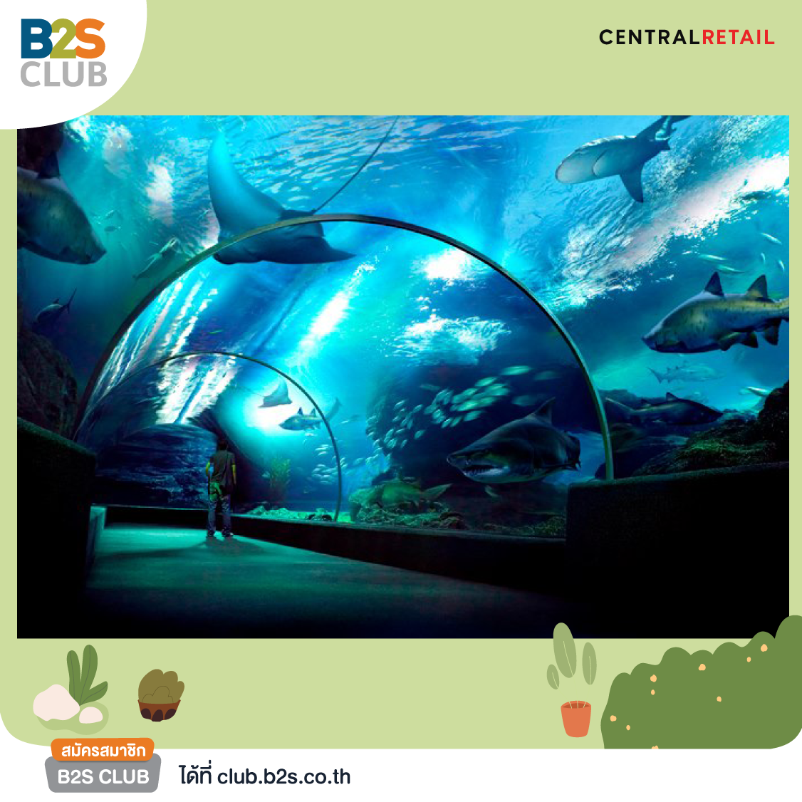 ที่เที่ยวเด็กๆ, พาลูกเที่ยวปิดเทอม, อควาเรียม