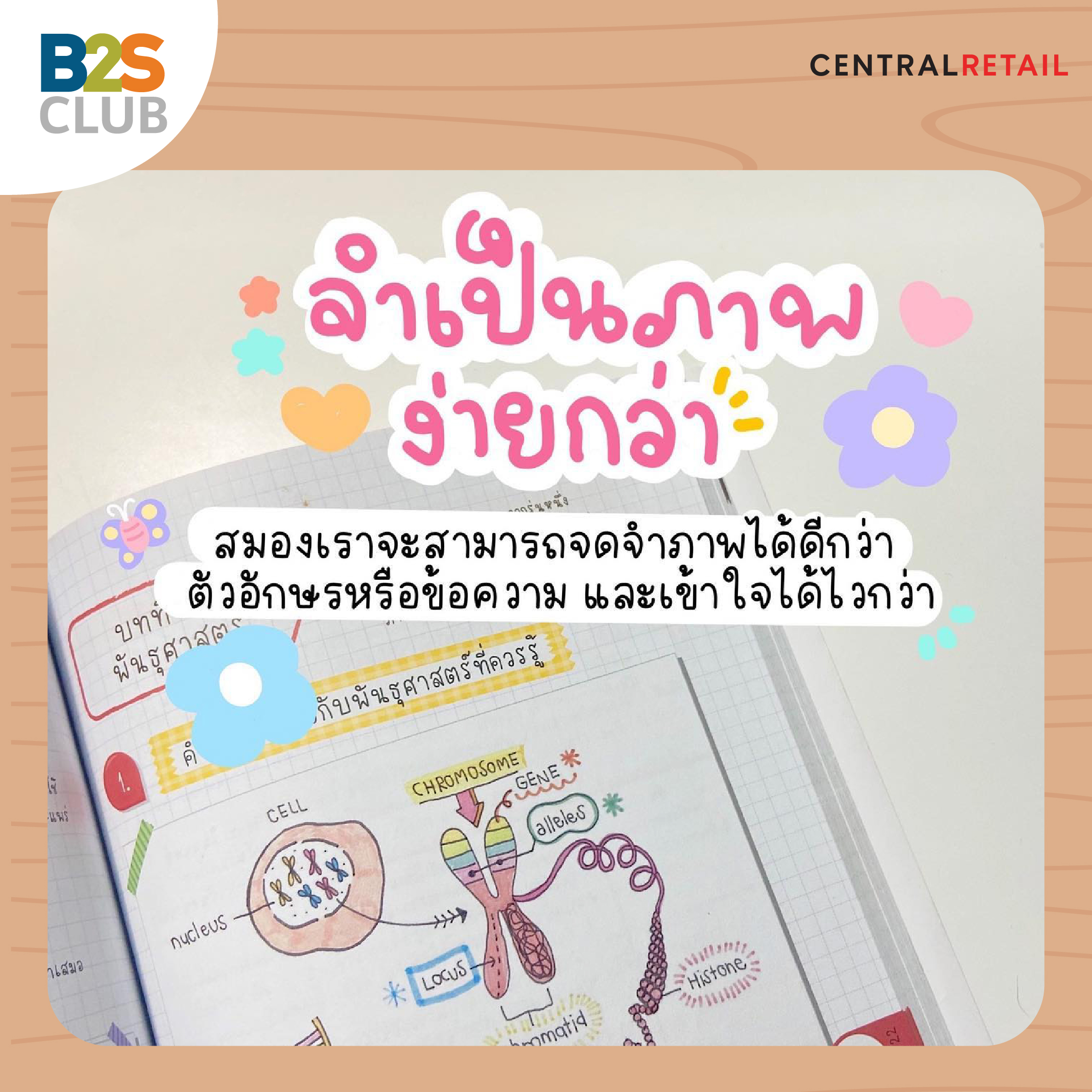 ตารางอ่านหนังสือสอบ, จำเป็นภาพ