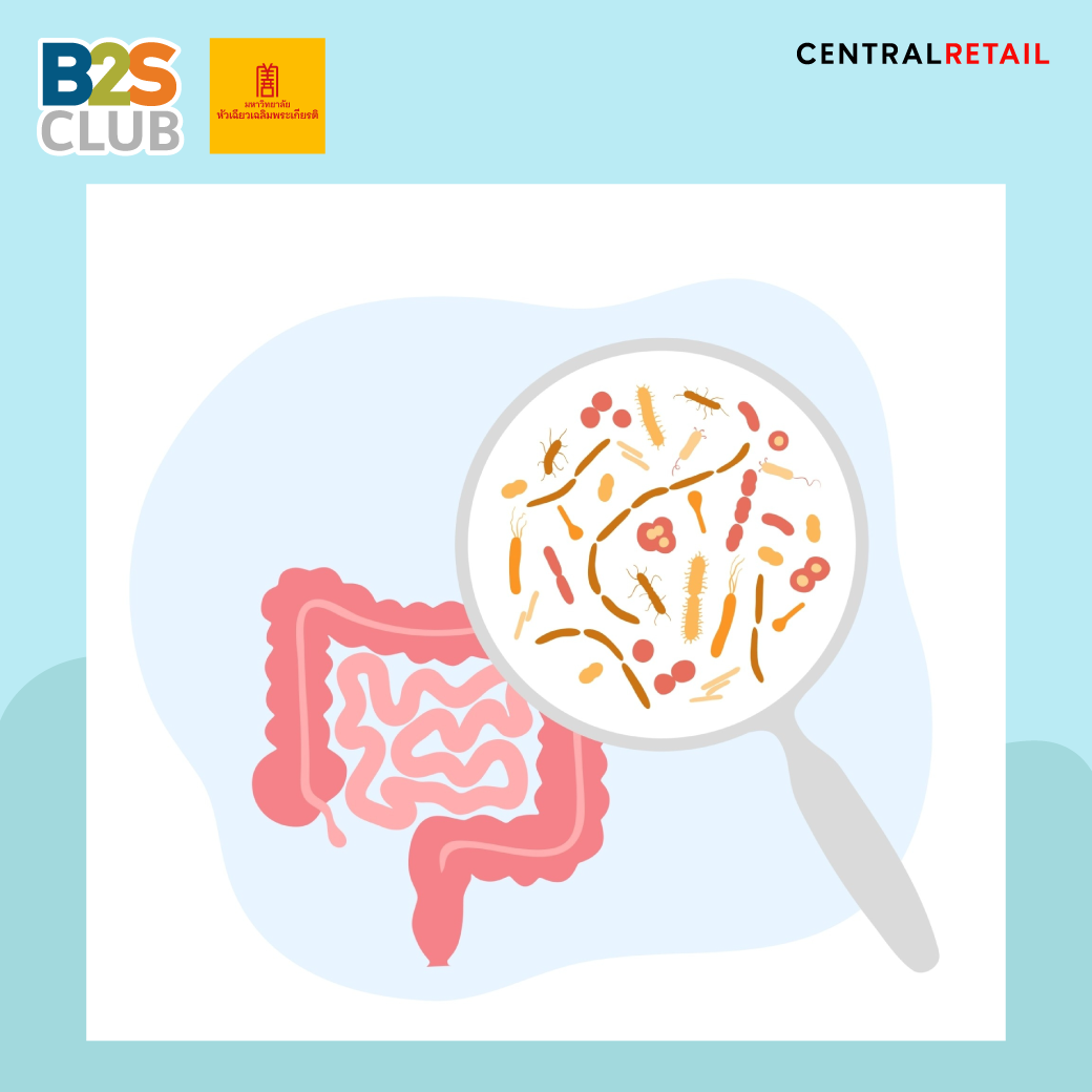 ปรสิต, พยาธิ