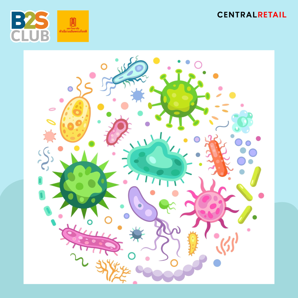 โรคติดเชื้อปรสิต, พยาธิ