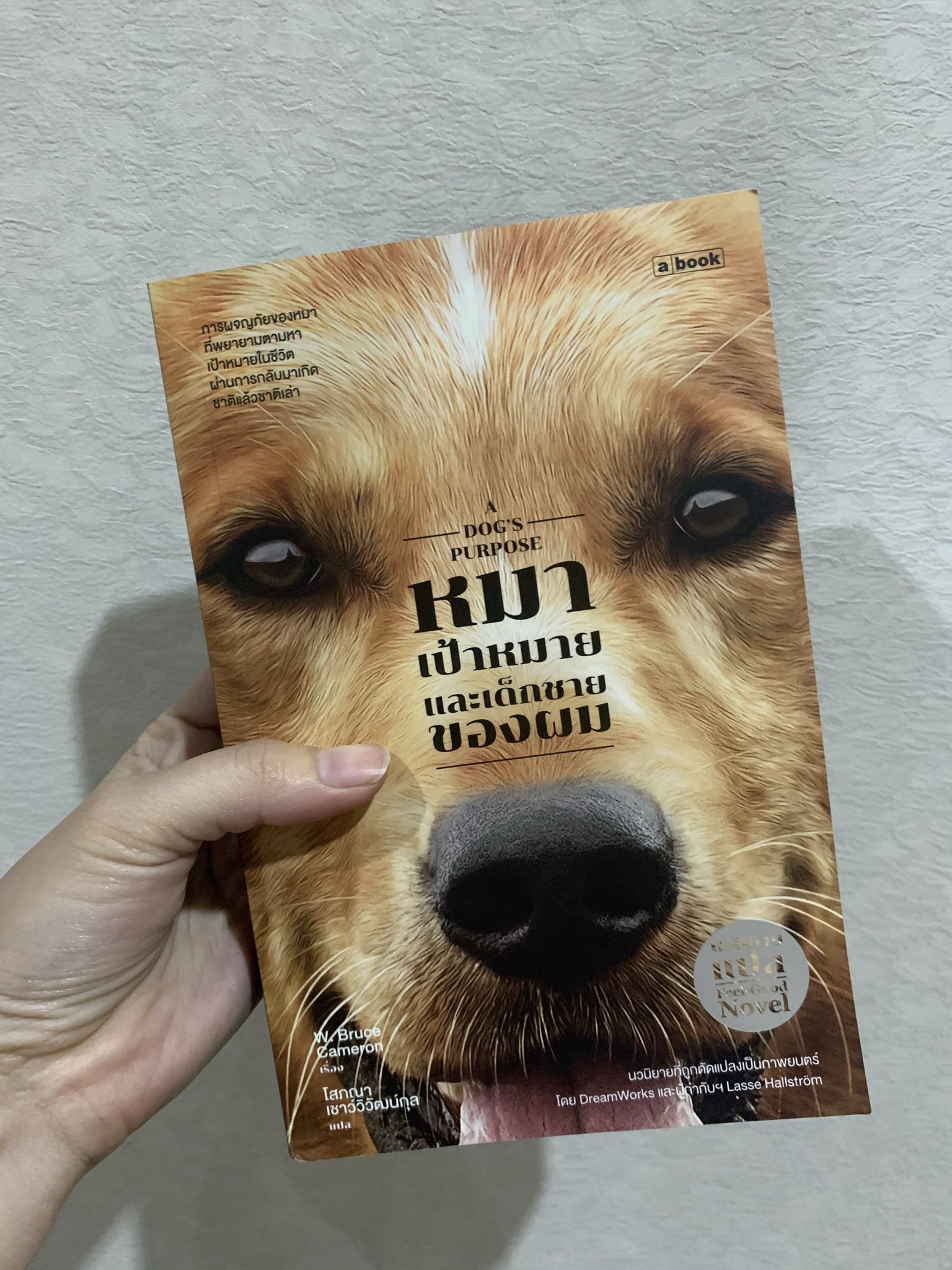 A dog’s purpose หมา เป้าหมายและเด็กชายของผม