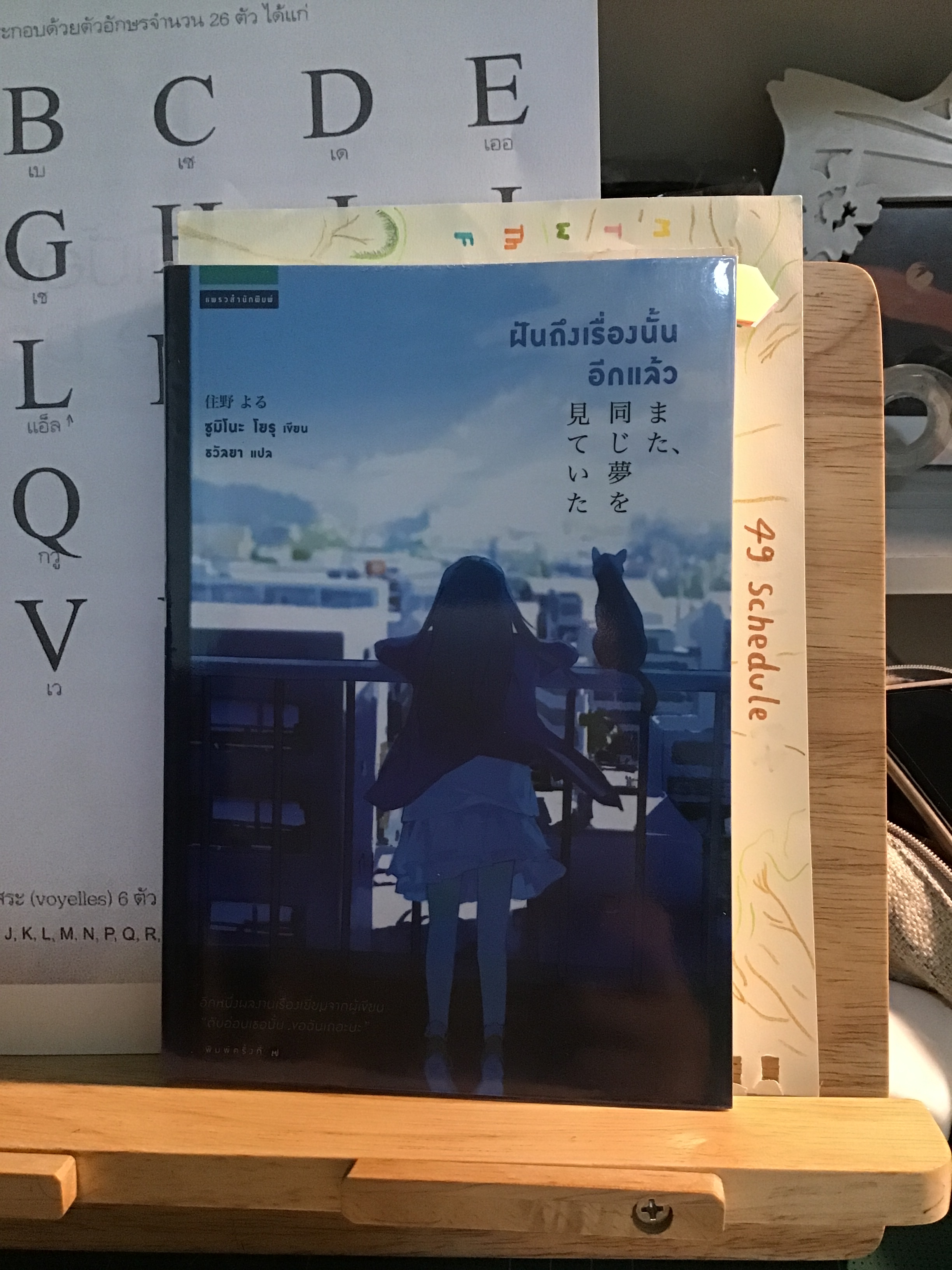 ฝันถึงเรื่องนั้นอีกแล้ว