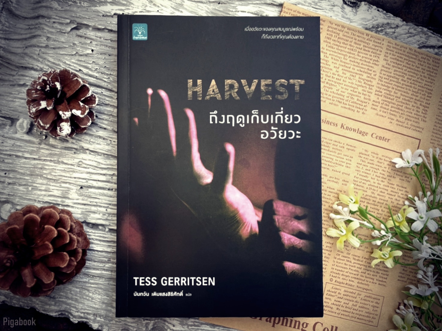 Harvest ถึงฤดูเก็บเกี่ยวอวัยวะ