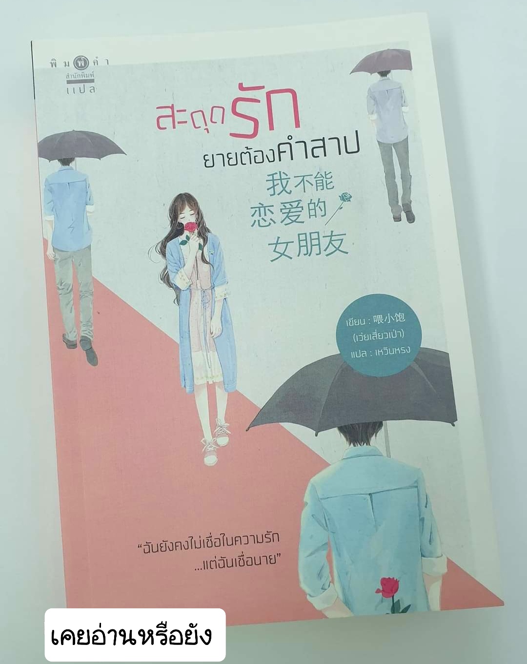 สะดุดรักยายต้องคำสาป