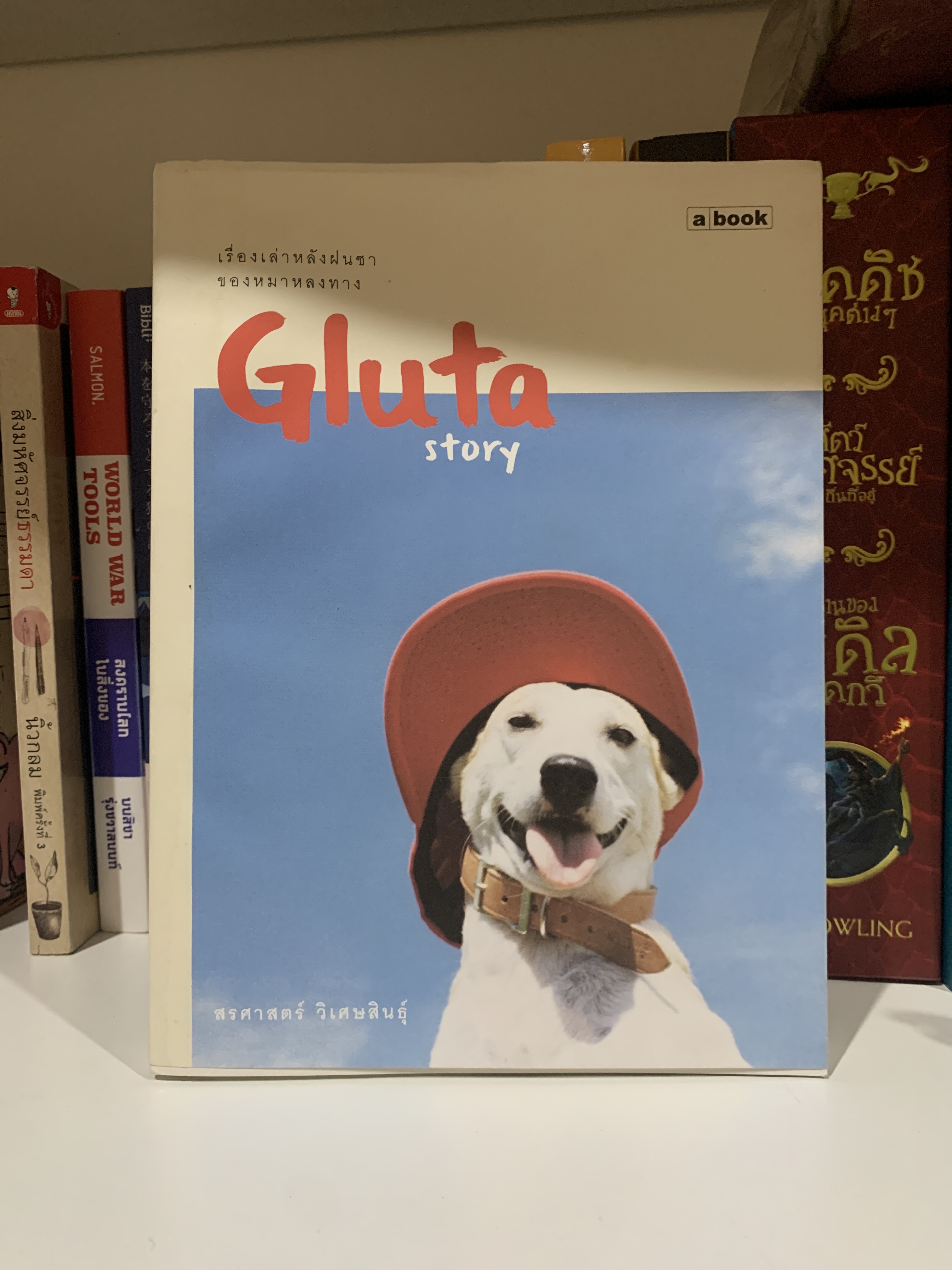 Gluta story
