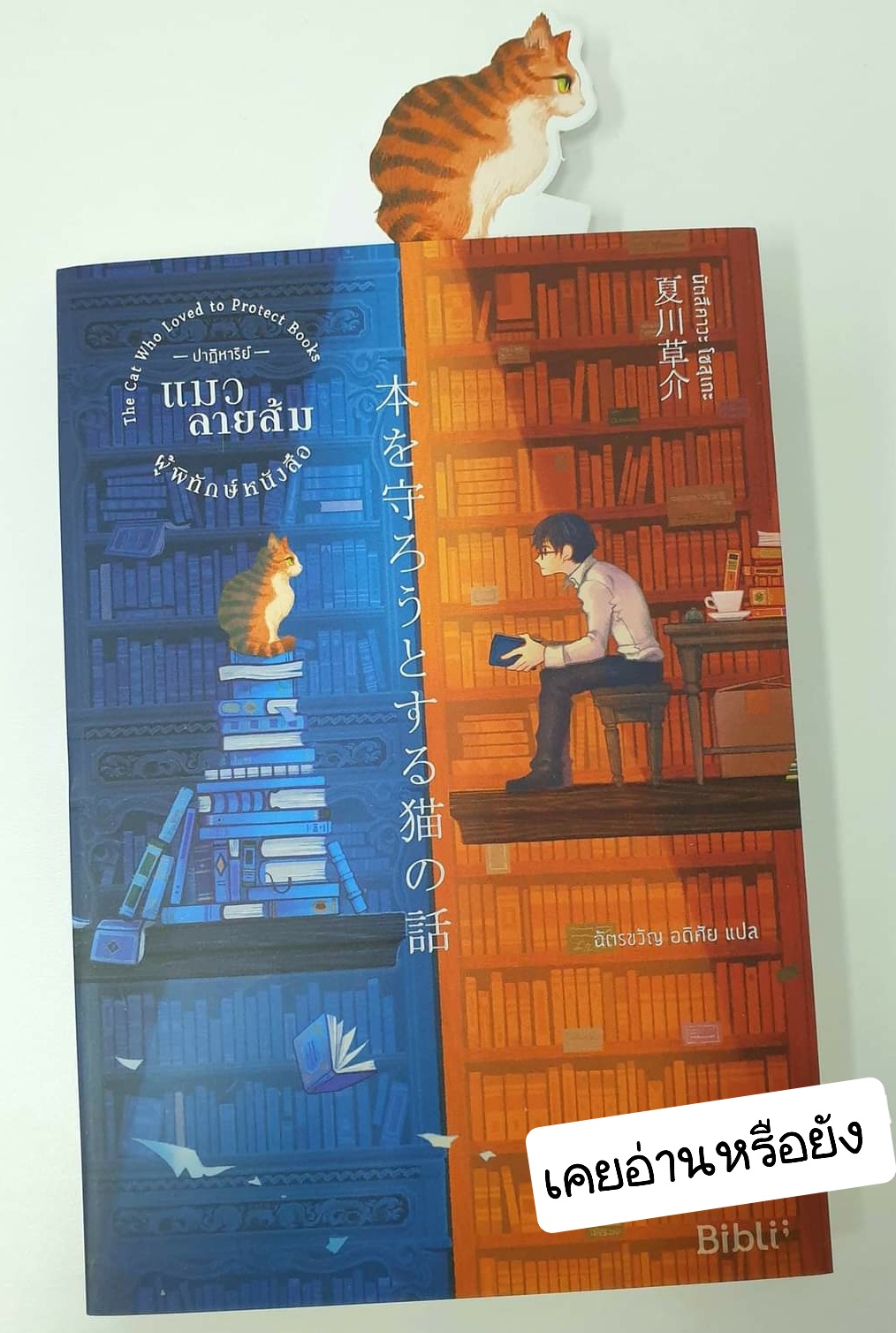 ปาฏิหาริย์แมวลายส้มผู้พิทักษ์หนังสือ The Cat Who Loved to Protect Books