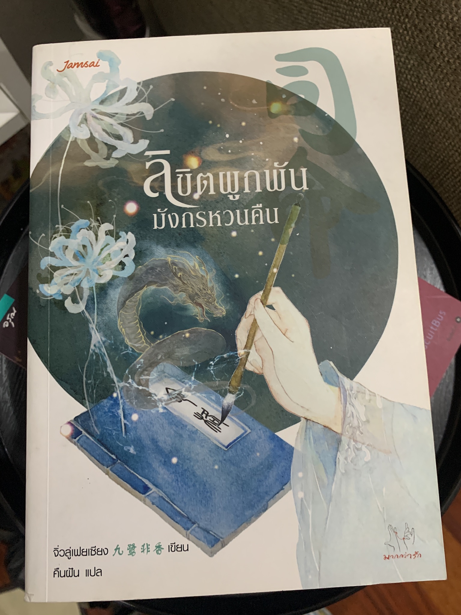 ลิขิตผูกพัน มังกรหวนคืน