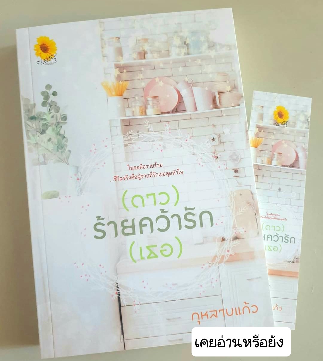 (ดาว) ร้ายคว้ารัก (เธอ)